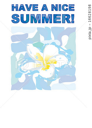 プルメリアの南国の白い花のポストカード 16628198