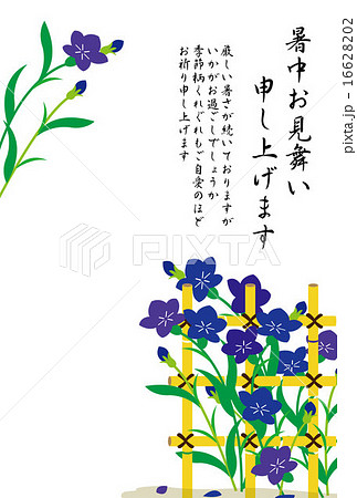 キキョウの花の和風の暑中見舞いのイラスト素材 1662