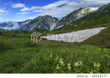 栂池自然園 16628371