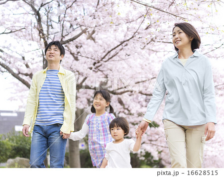 桜の木の下を歩く家族 桜の木の下を歩く家族 16628515