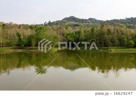 Lake in forest 16629247