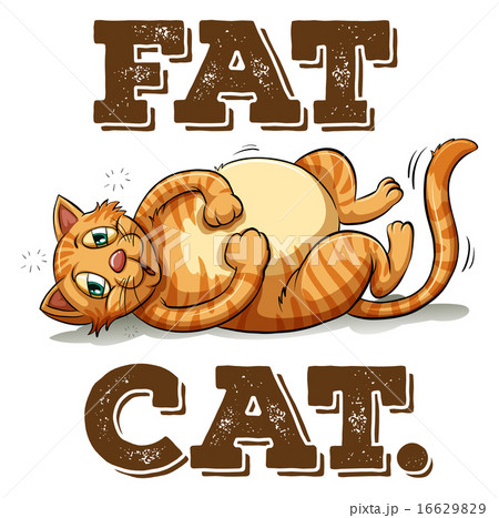 Fat Cat With Textのイラスト素材