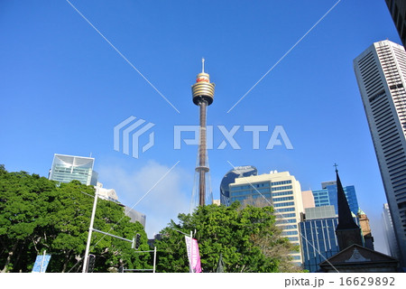 シドニー・タワー 16629892