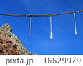岩手県久慈市小袖漁港 16629979