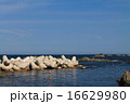 岩手県久慈市小袖漁港 16629980