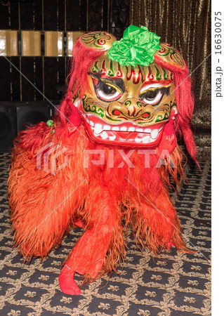 chinese red lion dance at new year day 16630075