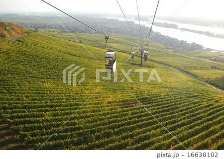 リューデスハイム13 16630102