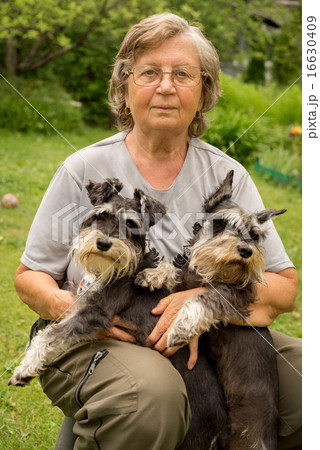 Senior woman hugs her two pets, black and silver miniature schnauzer dog in countryside 16630409