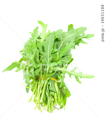 roquette roquette 16631188