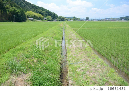 用水路 用水路 16631481