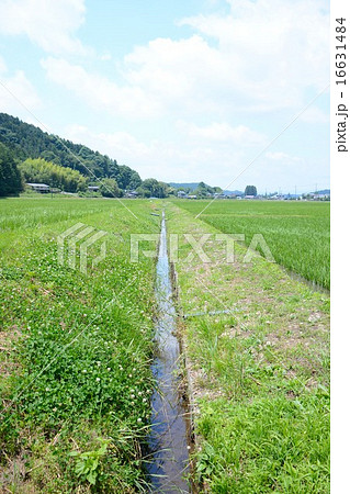 用水路 用水路 16631484