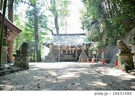 栃木県さくら市　喜連川神社 16631489