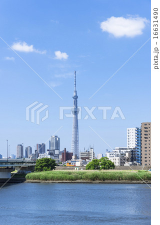 荒川に架かる新四ツ木橋より望むスカイツリー 16631490