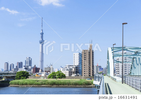 荒川に架かる新四ツ木橋より望むスカイツリー 荒川に架かる新四ツ木橋より望むスカイツリー 16631491