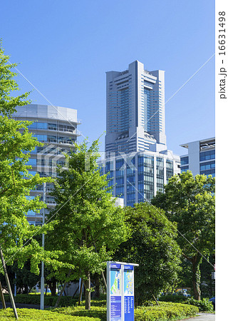 横浜みなとみらいの街並み 横浜みなとみらいの街並み 16631498