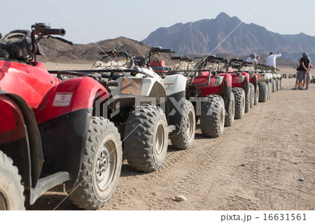quad bikes in a row 16631561