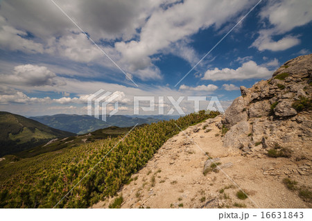 panorama view of the mountains and cliffs panorama view of the mountains and cliffs 16631843