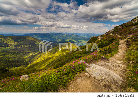 Beautiful mountains landscape in Carpathian Beautiful mountains landscape in Carpathian 16631933