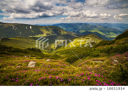Beautiful mountains landscape in Carpathian 16631934