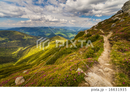 Beautiful mountains landscape in Carpathian 16631935