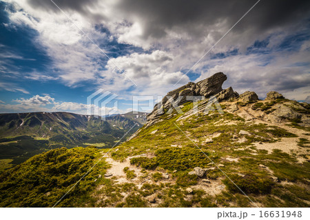 Beautiful mountains landscape in Carpathian 16631948