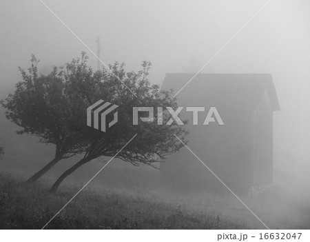 Beautiful sunrise with the morning mist 16632047