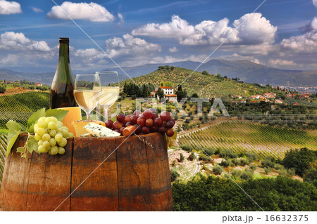 Vine landscape in Chianti, Italy 16632375