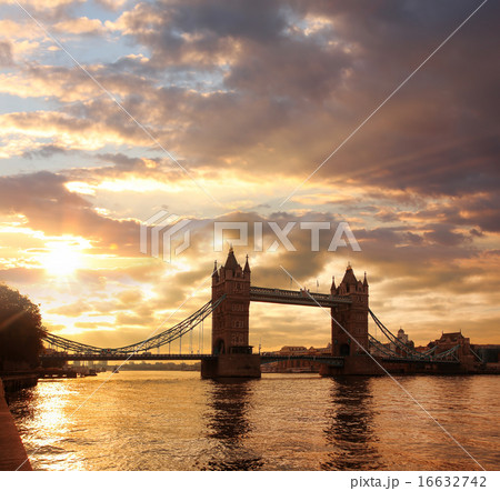 Tower Bridge in the evening, London, England Tower Bridge in the evening, London, England 16632742