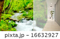 オフィス 16632927