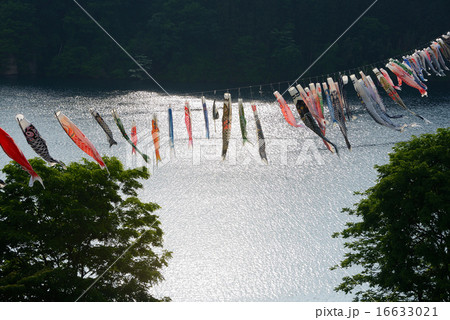 こいのぼり 16633021