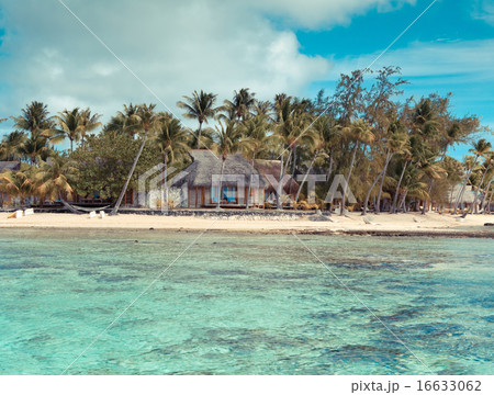 Wooden hut on the seashore ,with a retro effect 16633062