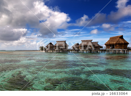 Lodges over transparent quiet sea water- tropical  16633064