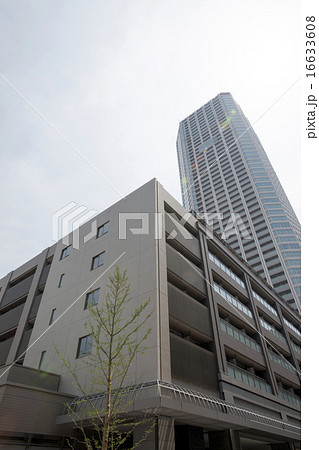 東京都 タワーマンション 富久クロス 東京都 タワーマンション 富久クロス 16633608