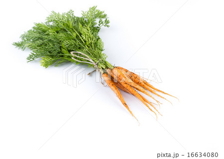 freshly picked carrots 16634080