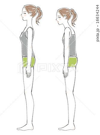 姿勢の比較イラスト 女性 のイラスト素材 16634244 Pixta