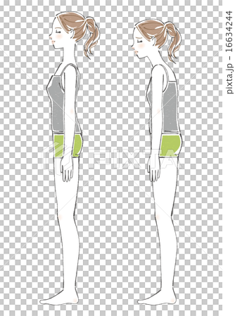 姿勢の比較イラスト（女性） 16634244