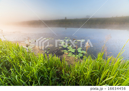 Fantastic foggy river with fresh green grass 16634456