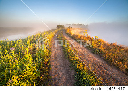 Fantastic foggy river with fresh green grass 16634457
