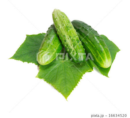 cucumber 16634520