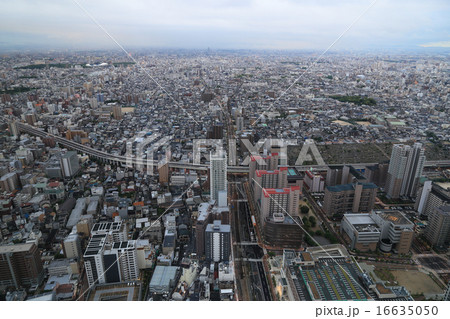 あべのハルカスより見る夜明けの大阪「あべの筋」と阪神高速14号松原線、長居陸上競技場 あべのハルカスより見る夜明けの大阪「あべの筋」と阪神高速14号松原線、長居陸上競技場 16635050