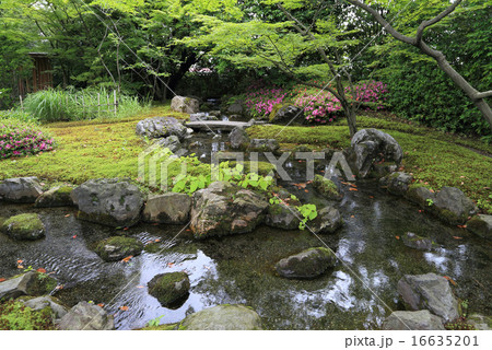 京都市「城南宮」平安の庭の（曲水の宴が行われる）遣水 16635201