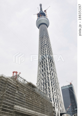 東京スカイツリー 16635397