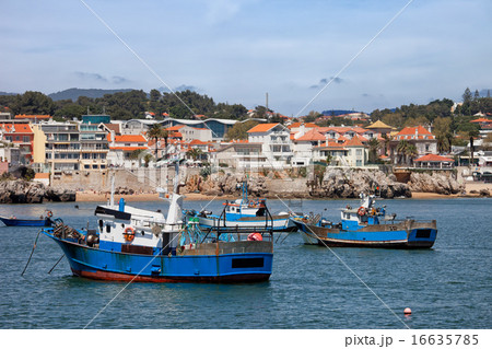 Fishing Boats in Cascais 16635785