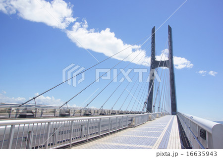 スカイブリッジ スカイブリッジ 16635943