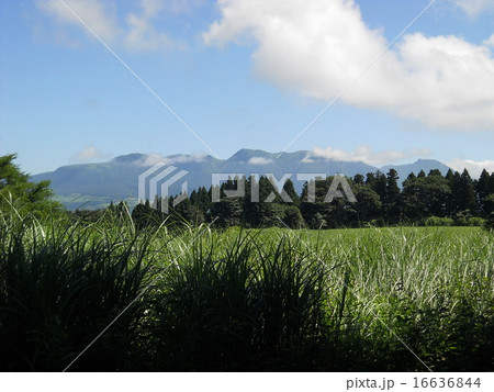 九重連山　夏 16636844