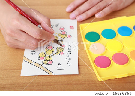絵手紙を描く手元 絵手紙を描く手元 16636869