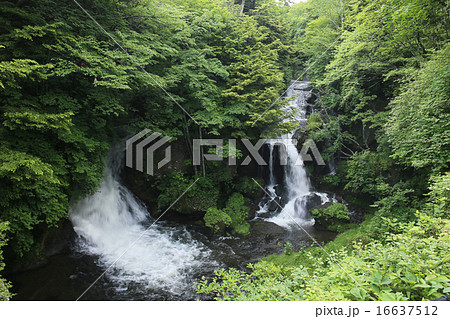 栃木県日光市　竜頭の滝　7月 16637512