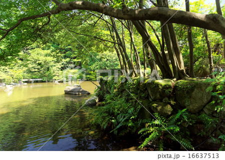 友泉亭 庭園の池 友泉亭 庭園の池 16637513