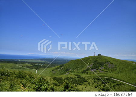 男鹿半島寒風山 16637564