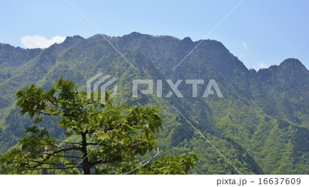 天理岳から見る両神山の主稜 16637609